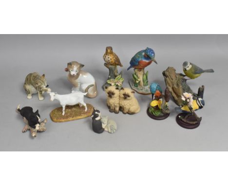A Collection of Various Animal and Bird Resin and Ceramic Ornaments to comprise Kingfisher, Aynsley Examples Etc 