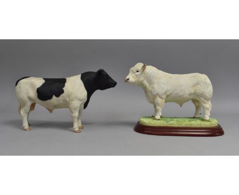 A Border Fine Arts Study of a Bull, Cattle Country Show (A0738) Charolais Bull Together with a Further North Light Study of a