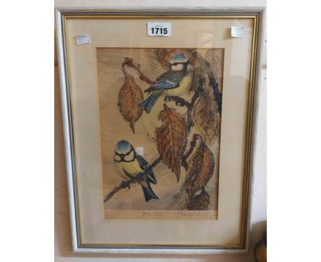 David Koster: a framed vintage signed limited edition coloured etching entitled 'Blue Tits' - 9/50 - sold with a faded D. Mc 