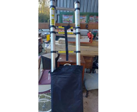 A telescopic metal ladder in black carrying bag