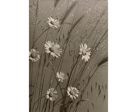 Baur, Max -- Maguerite and grass. 1930s. Vintage gelatin silver print on doubleweight ivory paper. 29,8 x 21,5 cm. Photograph