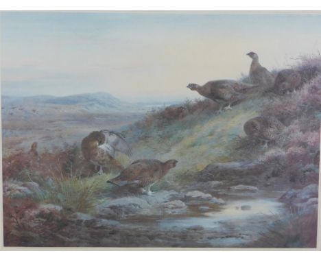Archibald Thorburn limited edition colour print, framed under glass, No. 138/500, 65 x 55cm 