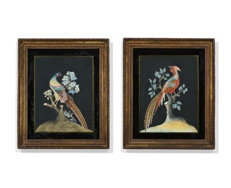 A PAIR OF IRISH REGENCY WATERCOLOURS OF CHINESE PHEASANTS  EARLY 19TH CENTURY  In verre eglomise slips, reverse to one with t