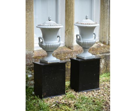 A PAIR OF REGENCY CAST IRON CAMPANA URNS EARLY 19TH CENTURY With integral covers, set on later metal stands urns 62.5cm high,