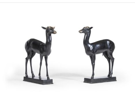 AFTER THE ANTIQUE MODELS OF HERCULANEUM, A PAIR OF BRONZE DEER  20TH CENTURY  each 86.5cm high, the bases 54.5cm wide, 19cm d