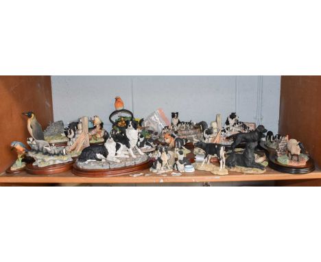 Border Fine Arts Collie and Other Models, including "Eager to Learn", "Bob and Sweep", "The Chase", "Labrador With Gun", etc.