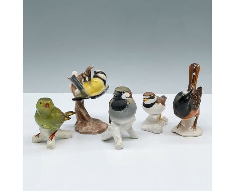 Adorable collection full of life and vivid colors that features various types of birds such as a ringed plover and blue titmo