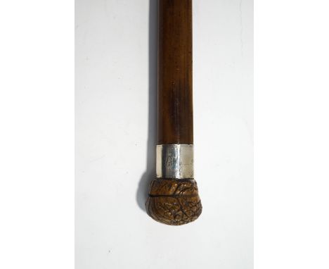 A Malacca shafted walking stick with silver collar (Chester 1923) and walnut modelled knop