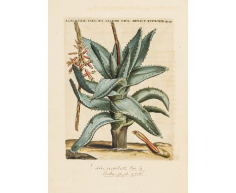 Botany.- Commelin (Caspar) Horti medici Amstelaedamensis plantae rariores et exoticae, first edition, title with woodcut of b