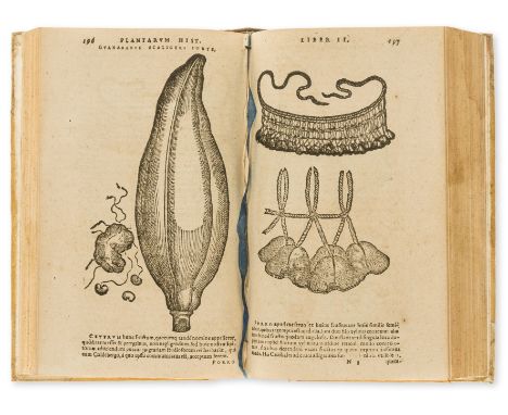 Botany.- Orta (Garcia de) Aromatum et simplicium aliquot medicamentorum apud Indos nascentium historia, collation: A-Z, a-f8,