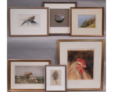 Five Contemporary Artworks and a Print to Include: Anne Cherry - Three watercolour studies of feathers titled 'Featherlight',