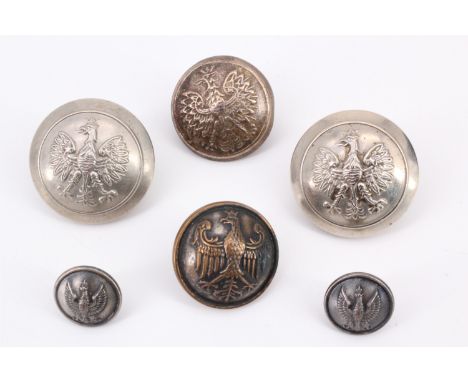 A small group of Polish army buttons