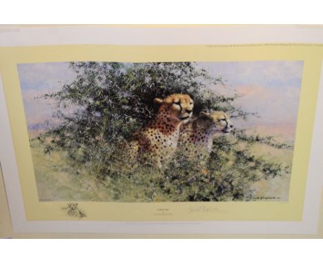 After David Shepherd, 'Cheetah', limited edition coloured print. No. 979 of 1500. Signed in pencil. Unframed. Together with a