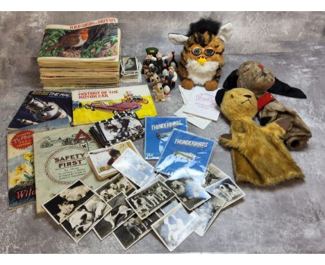 Juvenalia including Chad Valley Sooty &amp; Sweep glove puppets c.1960's; a Tiger Electronics Furby with Instruction &amp; Di