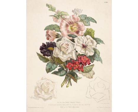 * Natural History &amp; Sporting. A collection of 40 prints &amp; engravings, mostly 19th century, lithographs and engravings
