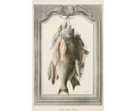 * Natural History &amp; Sporting. A collection of fourteen prints, 19th century, engravings and lithographs, including Champi