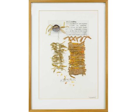 * KAREN LONGMUIR, HELIUNTHUS  mixed media on paper, titled mounted, framed and under glass Provenance: The Late Jack McLean  