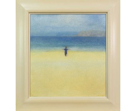 * SUE BIAZOTTI, BOY ON BEACH  oil on canvas, signedframedimage size 61cm x 56cm, overall size 51cm x 76cm Note: Sue Biazotti 