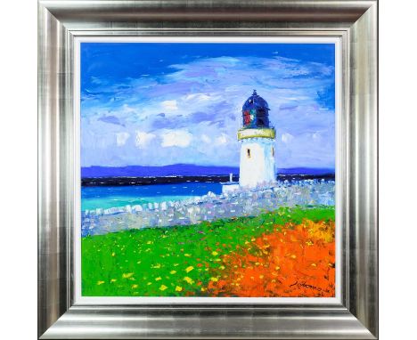 * JOHN LOWRIE MORRISON OBE (JOLOMO) (SCOTTISH b. 1948), WILD FLOWERS, DUNNET HEAD, CAITHNESS  oil on canvas, signed, titled a