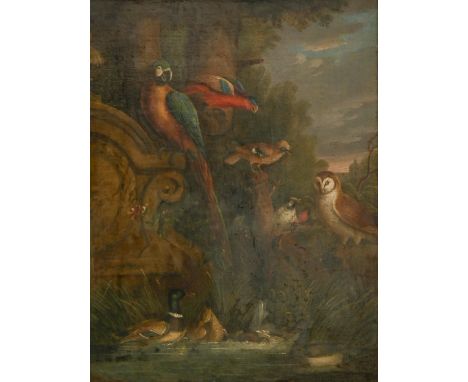 North European School, 18th c - A Menagerie of Exotic and Domestic Birds, including parrots, an owl, a jay, and waterfowl, a 