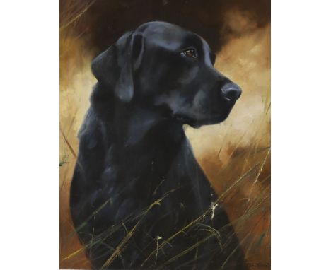 John Trickett (b.1953), oil on canvas, Portrait of a Black Labrador, signed, 50 x 40cm