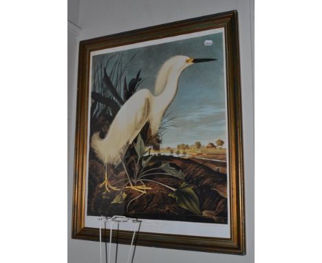 A set of three framed prints of Herons, together with a large ebonised print of a great blue Heron (4)