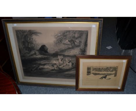 * Rosa Bonheur (1822-1899) Lions, pencil signed engraving, framed and glazed. 83cm by 104cm, together with another by artist 