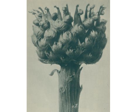 Photographie.: Sammlung von 19 Werken. Dabei: Kollmann,F. Schönheit der Technik. - Gutschow,A. See - Sand - Sonne. 19030. Olw