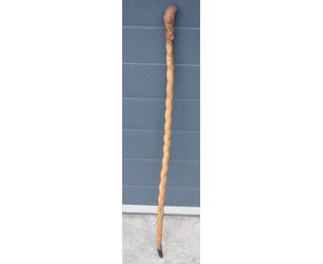 Late 19th / early 20th century bull pizzle stick, 87cm long.  