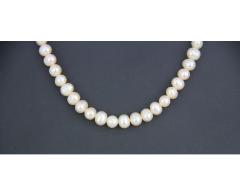 A single strand cultured cream pearl necklace on a white metal (tested silver) clasp, L. 36cm, approx. Dia. 0.7cm.