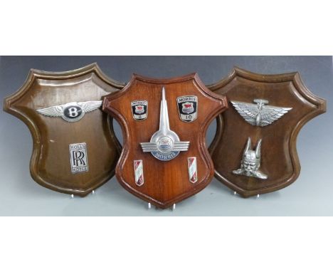 Three shield shaped displays of car badges including Rolls Royce, Bentley, Austin, Rover and Morris, height of shields 31cm