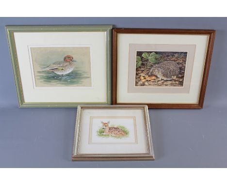 Parry David, (British b. 1942) Three Watercolour Paintings. The first depicting a 'Hedgehog' approx 20 x 15 cms (io), 'Bambi'