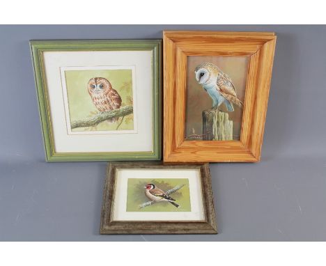 Parry David, (British b.1942) Three Watercolour Paintings. The first being a Tawny Owl, approx 16 x 15 cms (io), the second a