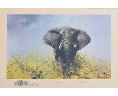 After David Shepherd (1931-),  "Old Charlie", signed and numbered 15/850 in pencil in the margin, published by Solomon & Whit