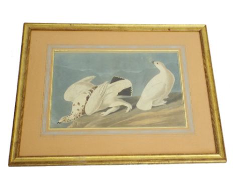 After J.J. Audubon - 'American Ptarmigan', inscribed on a partial fragment of paper taken from the original of the print, now