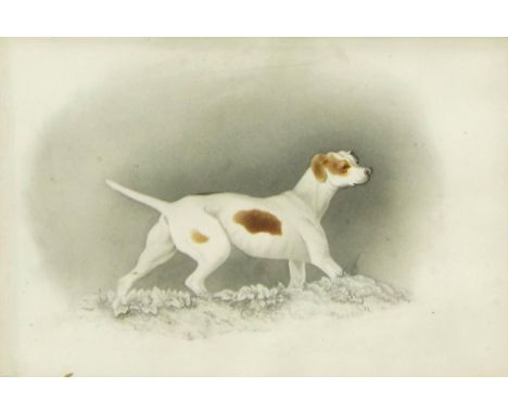 19th century School - portrait of a standing hound, watercolour, monogrammed AP and dated 1820, watercolour, 15.25" x 8", per