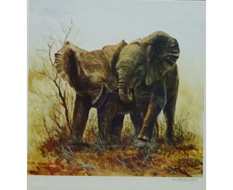 Baby African Elephants, limited edition colour print no.79/850 after Dorothea Buxton-Hyde signed and numbered in pencil with 