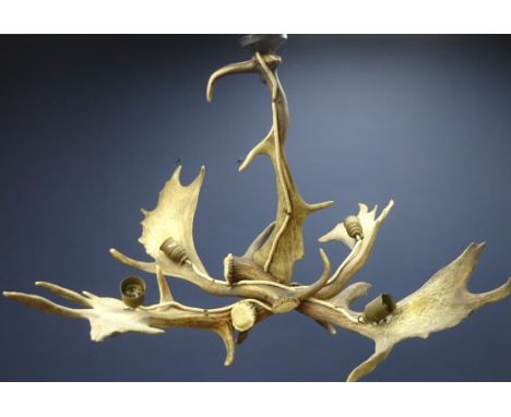 Fallow antler chandelier D110cm approx 