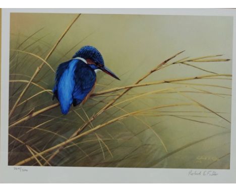 Kingfisher on Reeds, limited edition colour print no. 269/300  after Robert E Fuller signed and numbered in pencil 24cm x 32c