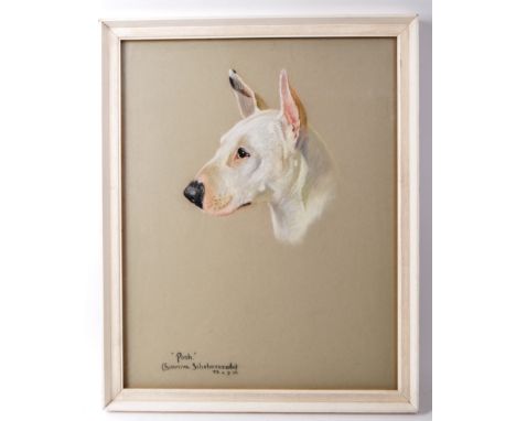 P.B. (1958) - A mid century pastel portrait of a dog, titled '"Pooh" (Sunniva Scheherezade)', signed and dated by the artist 