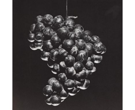 Artist: Robert Mapplethorpe (American, 1946 - 1989). Title: "Grapes". Medium: Original vintage photogravure. Date: Composed 1