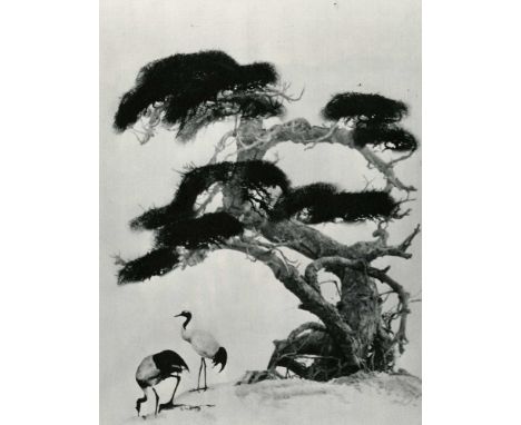 Artist: Chin-San Long [lang jingshan/lang ching-shan] (Chinese, 1892-1995). Title: "Chinese Painting I". Medium: Original vin