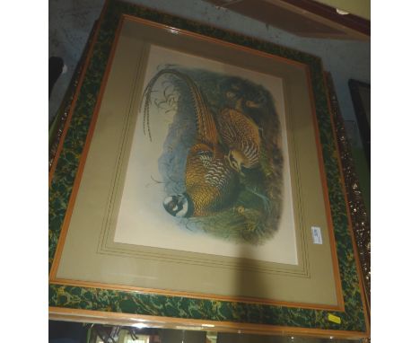 Large framed print of pheasants
