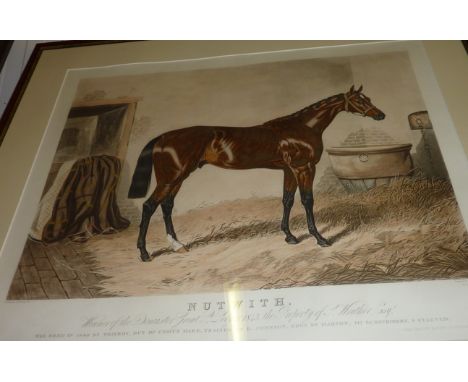 Framed print entitled 'Nutwith Winner Of The Doncaster Great St Ledger 1843 The Property Of J Wrather Esquire'