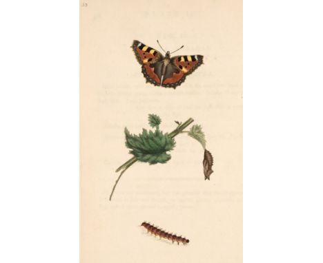 Donovan (Edward). The Natural History of British Insects:..., volume 2 only, London: printed for the author, 1793, 36 hand-co