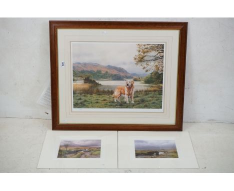 Steven Townsend, Signed Limited Edition Print titled ' Casper (Golden Retriever) ' no. 97/600 with gallery blind stamp, image