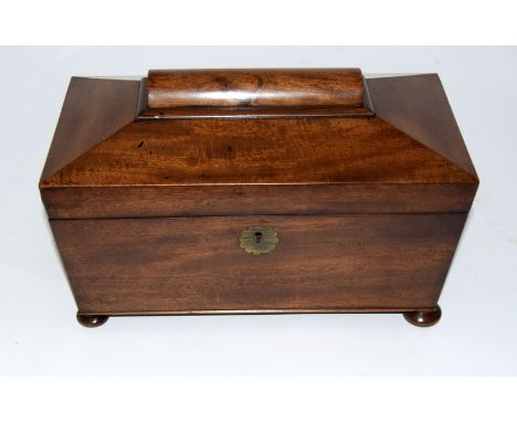 C19th Mahogany Sarcophagus Tea Caddy