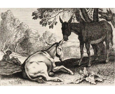 Swanefelt, Hermann (Herman D'Italie): (Um 1600 Woerden bei Utrecht - Paris 1655). Die Esel. Radierung. 1. Hälfte 17. Jhdt. Bl