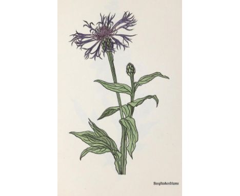 Koch,R.: Das Blumenbuch. Achtzig Zeichnungen. In Holz geschnitten v. F. Kredel. Lpz., Insel 1942. Kl.Fol. Mit 80 kolor. Holzs