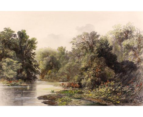 Bodmer, Karl: (1809 Zürich - Paris 1893) nach. Wald-Ansicht am Lecha. (Pensylvanien). Taf. 1 aus: Reise in das innere Amerika